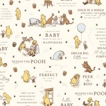 Winnie the Pooh Baby